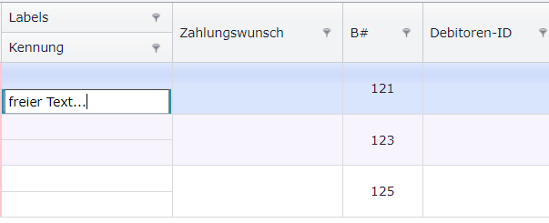 Kennung editieren in Buchungsliste