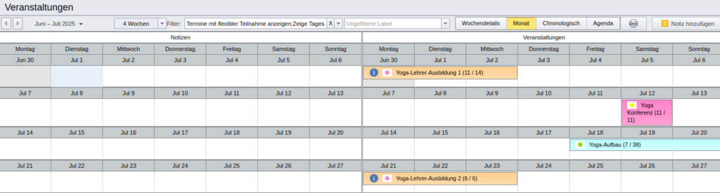 Veranstaltungskalender in der „Monat“-Darstellung
